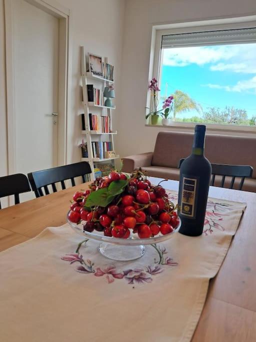 Malia Holiday Villa Conversano Ngoại thất bức ảnh